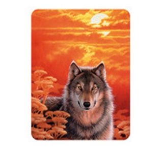 Obrázek z Magnet 3D 7x9cm - vlk při západu slunce (25) 